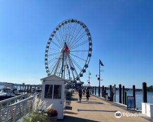 香港-國家港口 機票酒店 自由行