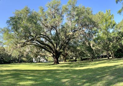 Eden Gardens State Park