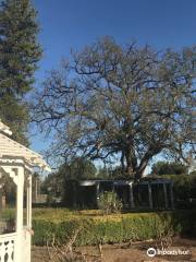 Orcutt Ranch