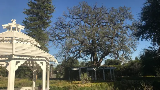 Orcutt Ranch