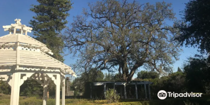 Orcutt Ranch