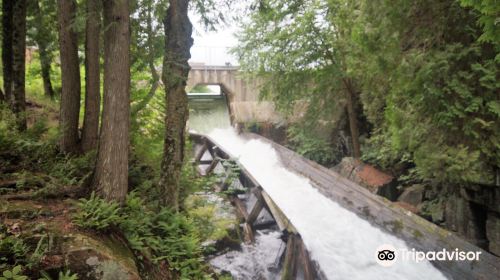 Hawk Lake Log Chute