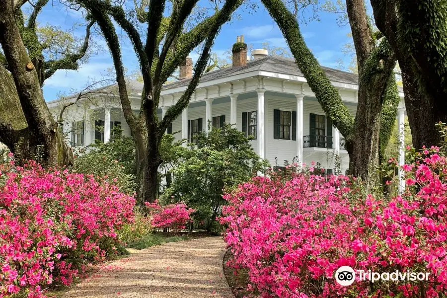 Bragg-Mitchell Mansion