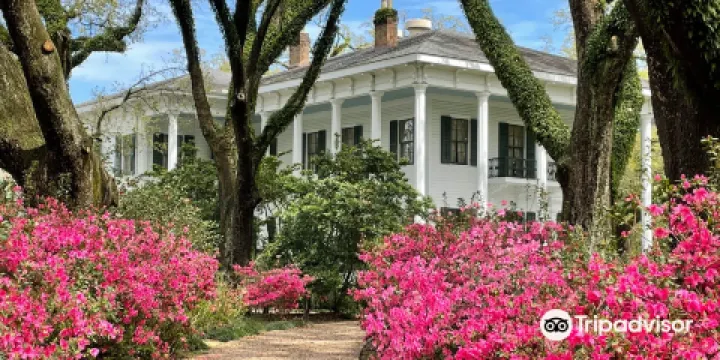 Bragg-Mitchell Mansion