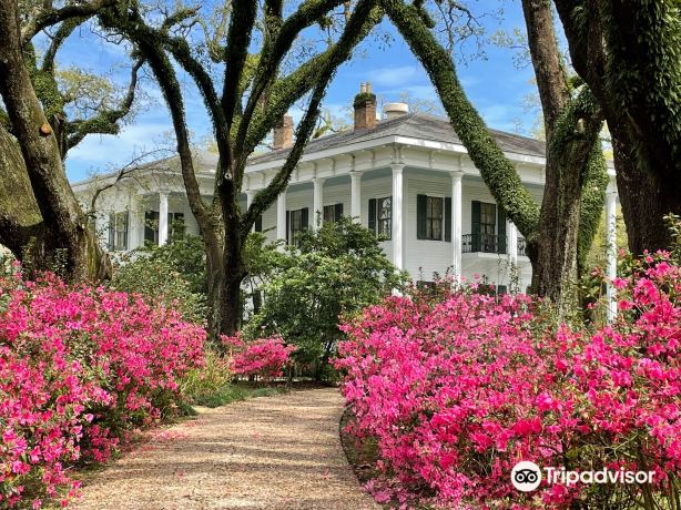 Bragg-Mitchell Mansion