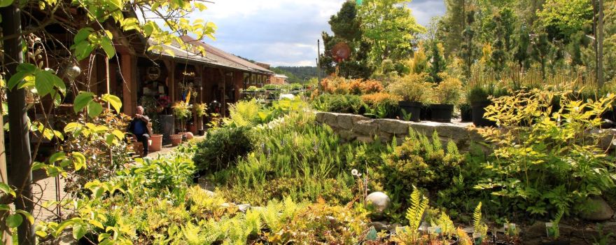 Gartenparadies Painer