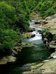 Mawlynnong Waterfall
