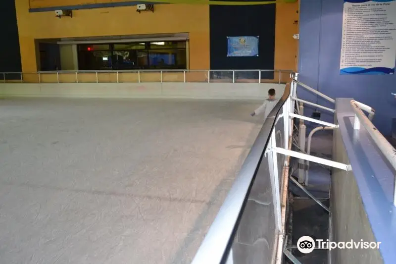 Aguadilla Ice Skating Arena