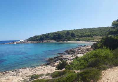 Zaglav Beach