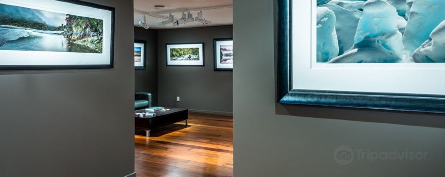 Petr Hlavacek Gallery