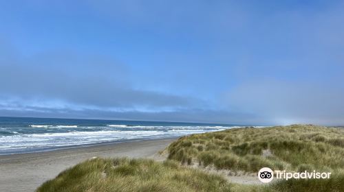 Tolowa Dunes State Park