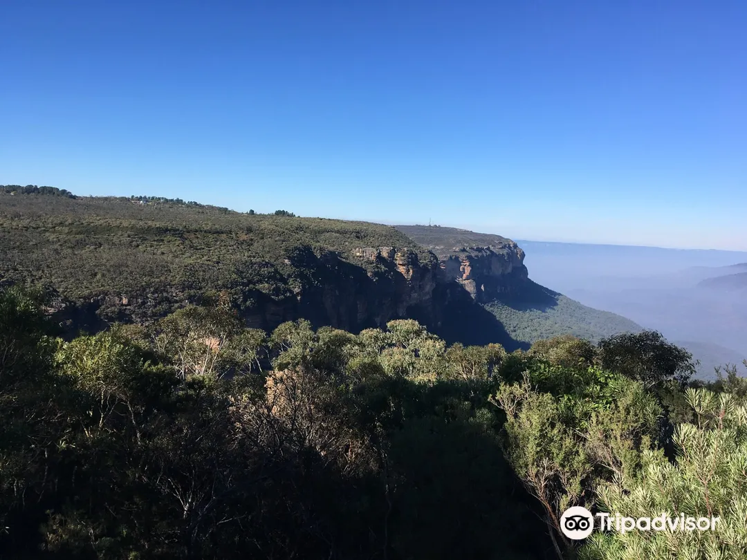 5_The Happy Coach Sydney