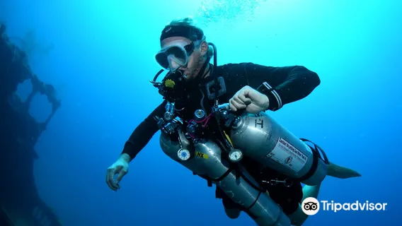 DayDream Palau / Ryoma Cruise