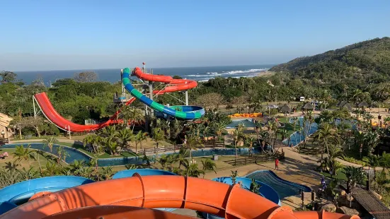 Wild Waves Water Park