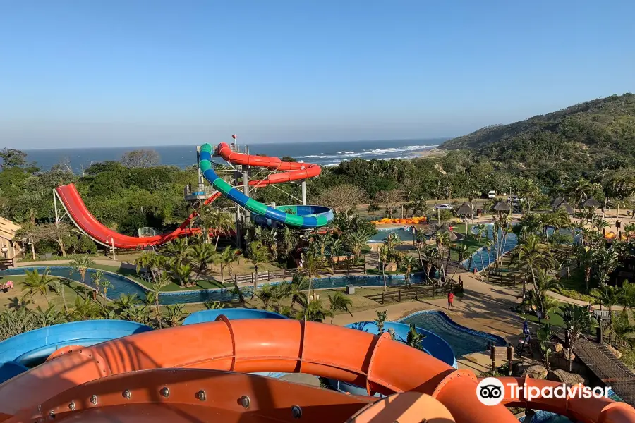 Wild Waves Water Park