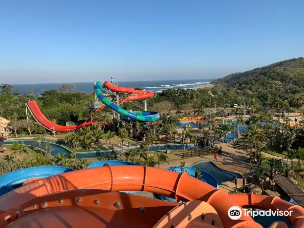 Wild Waves Water Park