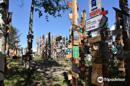 Sign Post Forest