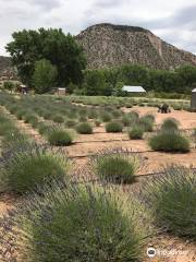 Purple Adobe Lavender Farm