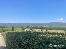 Vignoble Chasson - Château Blanc