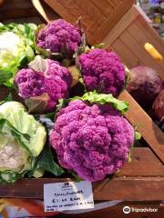 Biddlesford Lodge Farm Shop