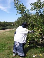 Anderson Orchard