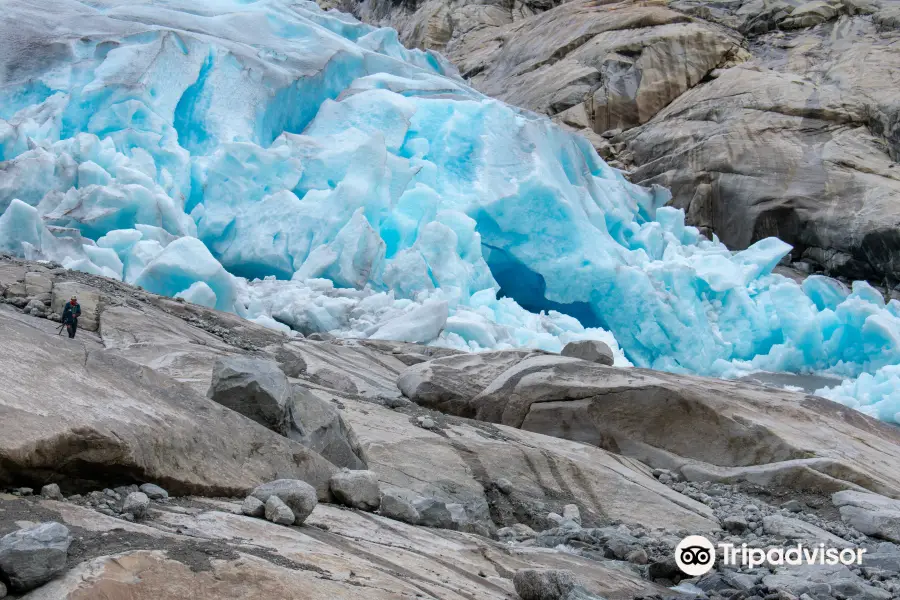 Nigardsbreen Glacier