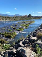 Tongariro River Rafting