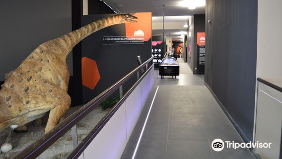 Dinosfera