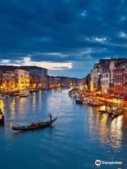 Venice Faberest