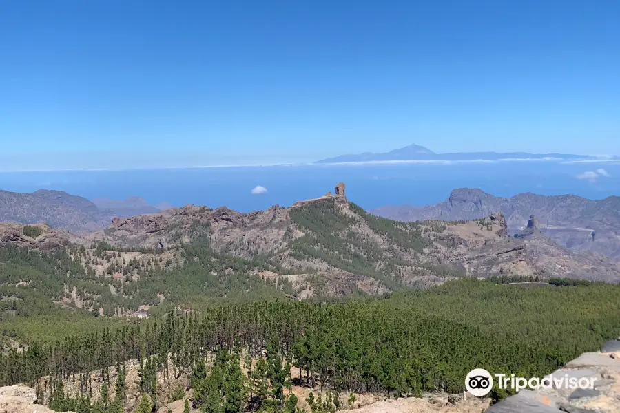 Caldera Los Marteles Viewpoint