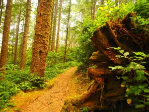 Hobbit Trail