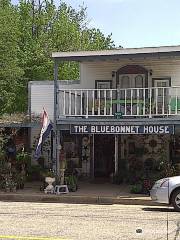 Bluebonnet House