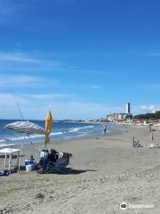 Riserva Naturale Tomboli di Follonica