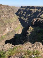 Bruneau Canyon Overlook