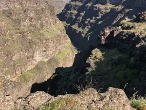 Bruneau Canyon Overlook