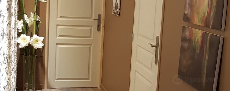 뮤지