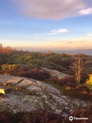 Vallda Sandö Naturreservat