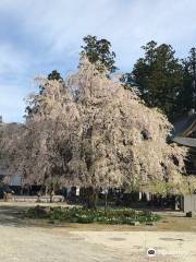 Hasedera Temple