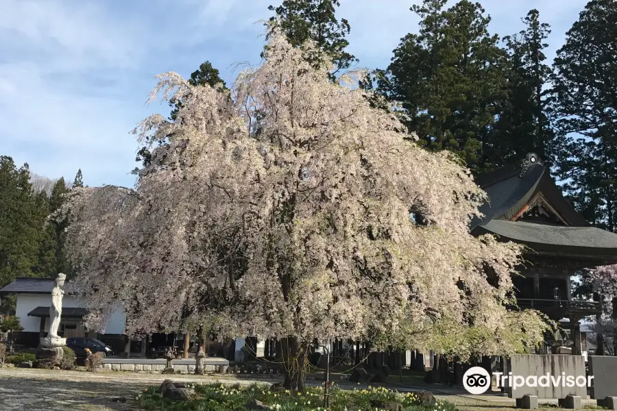 長谷寺