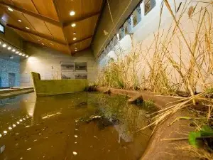 The Environment Museum of Stymphalia