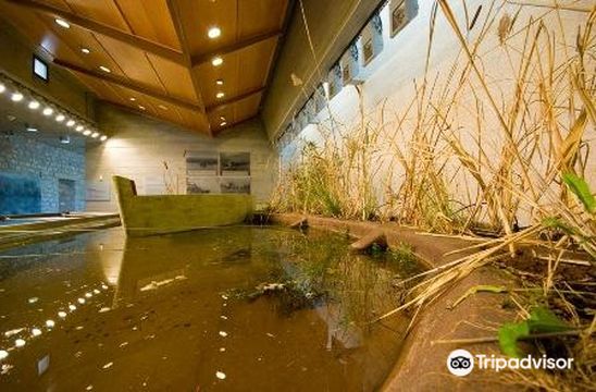 Environment Museum of Stymphalia