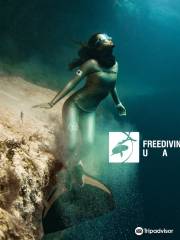 Freediving UAE