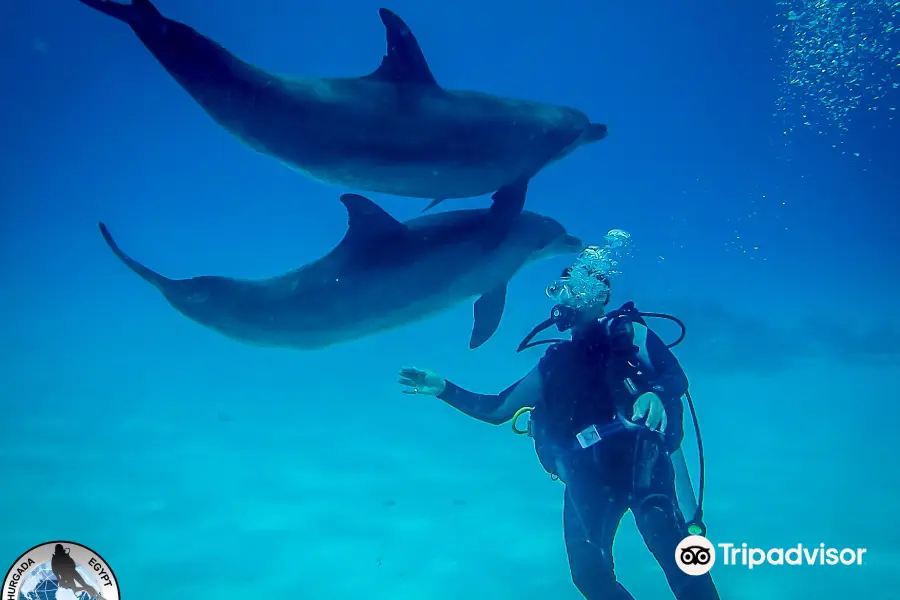 Diamond Red Sea Divers