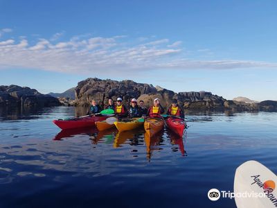 Lofoten Diving - Activities Lofoten, Norway