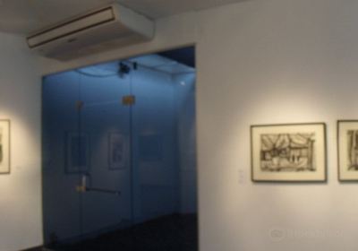 Museo de Bellas Artes Octavio de la Colina