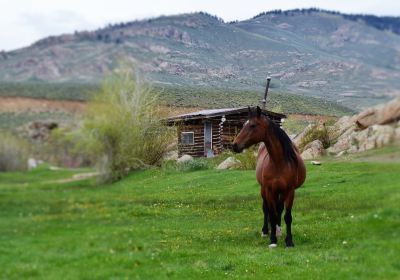 Quartz Creek Trail Rides