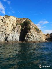 Waikawa Dive Centre