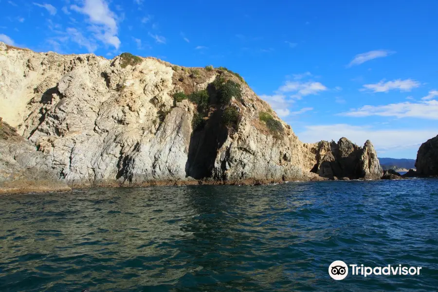 Waikawa Dive Centre