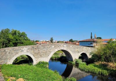 PUENTE DE SAN JUAN DE "FURELOS"