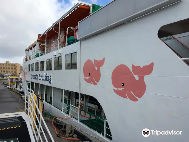 Whale Watching At Sea in Naha